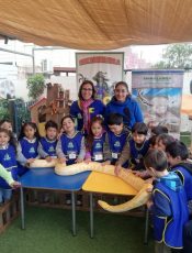 Actividades Pedagógicas